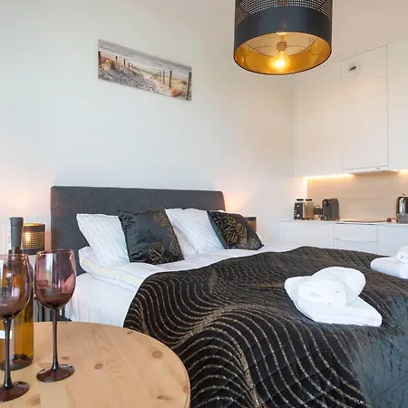 Luxurious Near The In Apartment